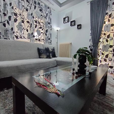 Crestio Apartment Καστοριά 외부 사진